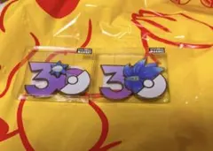 ポケモン中国限定】30周年マグネット メタグロス進化ライン 3点セット