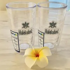 Hawaii限定品 希少 Hale Kulani 16oz タンブラー 2個 - メルカリ