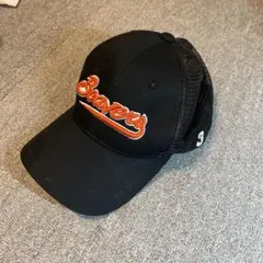 オレゴン州立大学 BEAVERS ビーバーズ 刺繍 キャップ 雰囲気系 古着