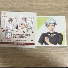 ましコレ　白羽大地　ときめきメモリアル Girl's Side