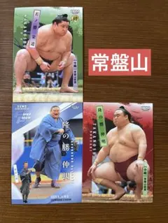 2026年最新】山勝 カードの人気アイテム - メルカリ