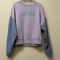 Gap1969ロゴ　Ｍ　カラーブロック プルオーバー スウェット トレーナー