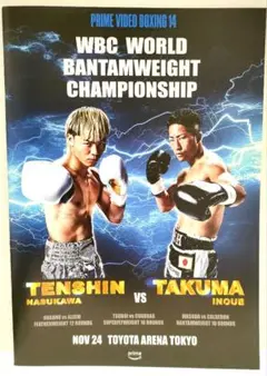 【《本日ゴング》《新品・美品》《来場者限定パンフレット》那須川天心VS井上拓真】