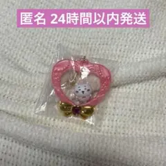 【新品未開封】ちいかわ ジュエリースイングチャーム ちいかわ