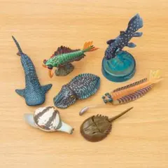 2026年最新】マリンマリン シーラカンスの人気アイテム - メルカリ