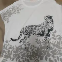 プリントTシャツ Ray Cassin フリーサイズのサムネイル