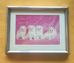 Item thumbnail for item c95fcde5-8c2a-46d3-8047-e98c48ed78f3