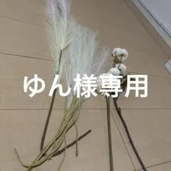 ゆん様専用ページ