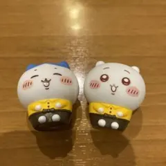 ココス ハチワレ