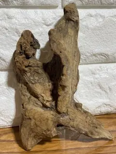 けろっと様 リクエスト 3点 まとめ商品