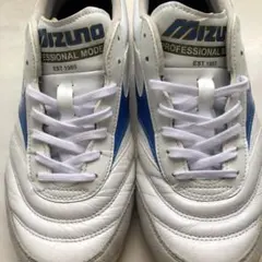 Item thumbnail for item 2b0e71ea-6a29-4f2c-bf8a-9bbef502fe76