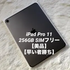 【年始割】iPad Pro 11インチ 第1世代 256GB 【すぐ発送】