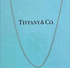 2026年最新】ティファニー ネックレス チェーンのみの人気アイテム