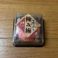 超絶リアル 極み梅 完熟しそ梅 スクイーズ