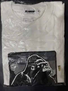 Item thumbnail for item b7e82092-1fcf-4076-9706-5d729f84e579