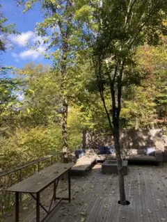 Item thumbnail for item 87a70c70-b0d3-4f88-9297-dff340680502