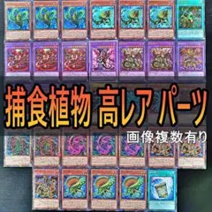 219　高レア　捕食植物　デッキパーツ 遊戯王 捕食活動　スーパー　等　☆