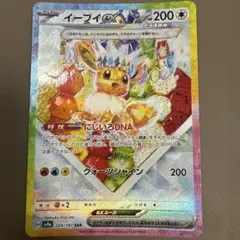 ポケモンカード【テラスタルフェスex】イーブイex SAR 224/187