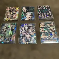 RIZINポテトスティック 6枚セット