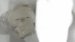 うさぎのねむちゃん ぬいぐるみポシェット 新品未使用