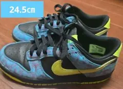 ナイキ ダンク スニーカー