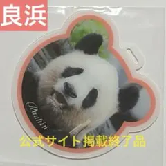 良浜　スーツケースタグ　成都パンダ基地　アドベンチャーワールド　ラゲッジタグ