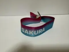 Le Sserafim SAKURA ラバーバンド