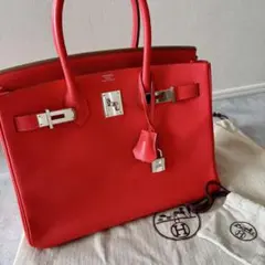 2026年最新】ブーゲンビリア オレンジの人気アイテム - メルカリ