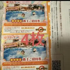4枚 東京サマーランド フリーパス 東京都競馬 株主優待券 1Dayパス b 