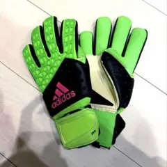 廃盤モデル】アディダスGKグローブプレデターGLプロ プロモデル9
