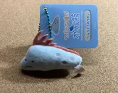 2025年最新】リュウグウノツカイ キーホルダーの人気アイテム