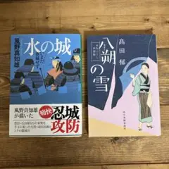 水の城・八幡の雪 文庫本　2冊セット