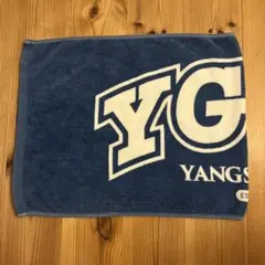 2026年最新】ヤングスキニーの人気アイテム - メルカリ