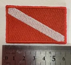 Item thumbnail for item 8dee2616-08fd-4208-95c0-5b2ef4258d20