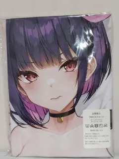 正規品 Z-M Pillows 履いてください、鷹峰さん 鷹峰高嶺 抱き枕カバー