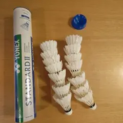 Item thumbnail for item a799bbcb-499d-42f1-9d91-80a80243ef06