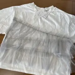 Item thumbnail for item 92c16840-cb0c-4d8b-855a-a6fa66ba42c7