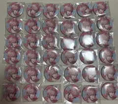 赤城ウェン にじさんじ お出かけオリエンス缶バッジ36個