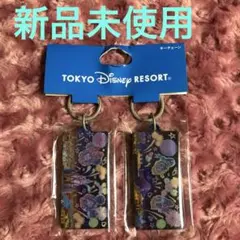 ディズニー　キーホルダー　チャーム　ミッキー　ミニー　花火