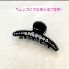 らん♪プロフ必読☆様ご専用*