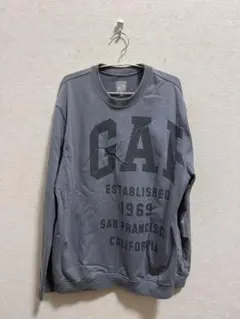 GAP セットアップ