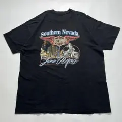 USA製 ビンテージ ラングリッツレザー Tシャツ M シングルステッチ xpv 
