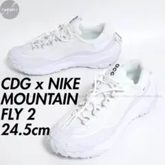 24.5 コムデギャルソン オム プリュス ナイキ ACG マウンテン フライ