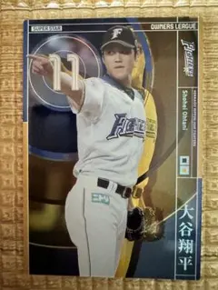 大谷翔平 オーナーズリーグカード インフィニティ 2013 野手 - メルカリ