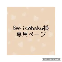 リンゴ柄 ナースポーチ オーガナイザー 移動ポケット 仕分けポーチ