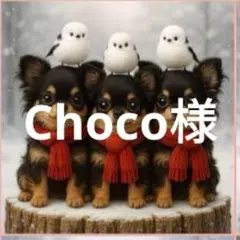 Choco様確認用