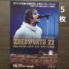 映画　リアム・ギャラガー　ネブワース2022　チラシ　フライヤー　５枚