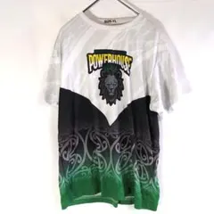 マウンテンリサーチ ラグラン ベースボールTシャツ ロングスリーブ ロンT マウンテンリサーチ ラグラン ベースボールTシャツ ロングスリーブ