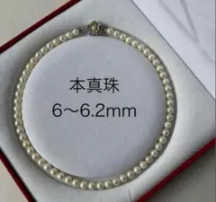 本真珠　パールネックレス　卒業式入学式