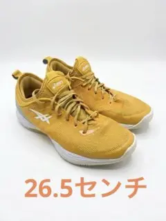 アシックス グライドノヴァ FF2 26.5cmのサムネイル